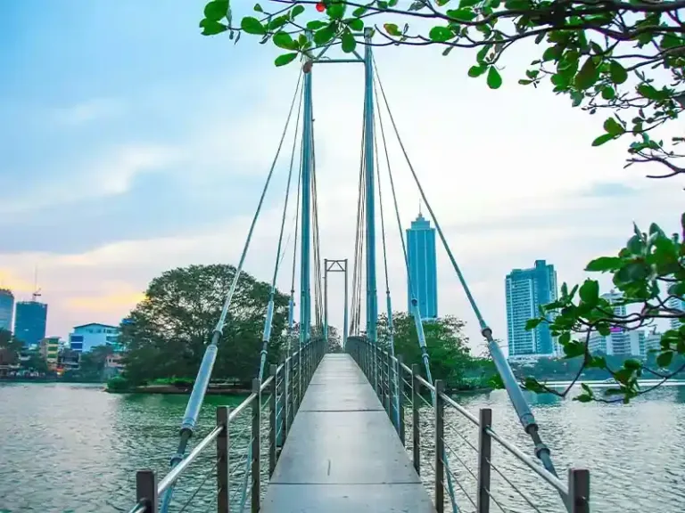 pedgxz6hi6xgwl9iewhg_3_11zon