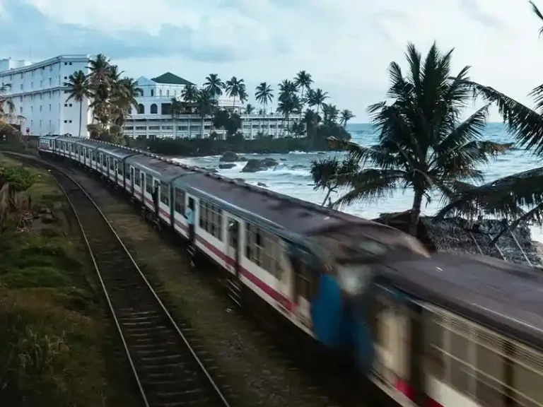 vrju4jnljztqqi1o4pwa_6_11zon